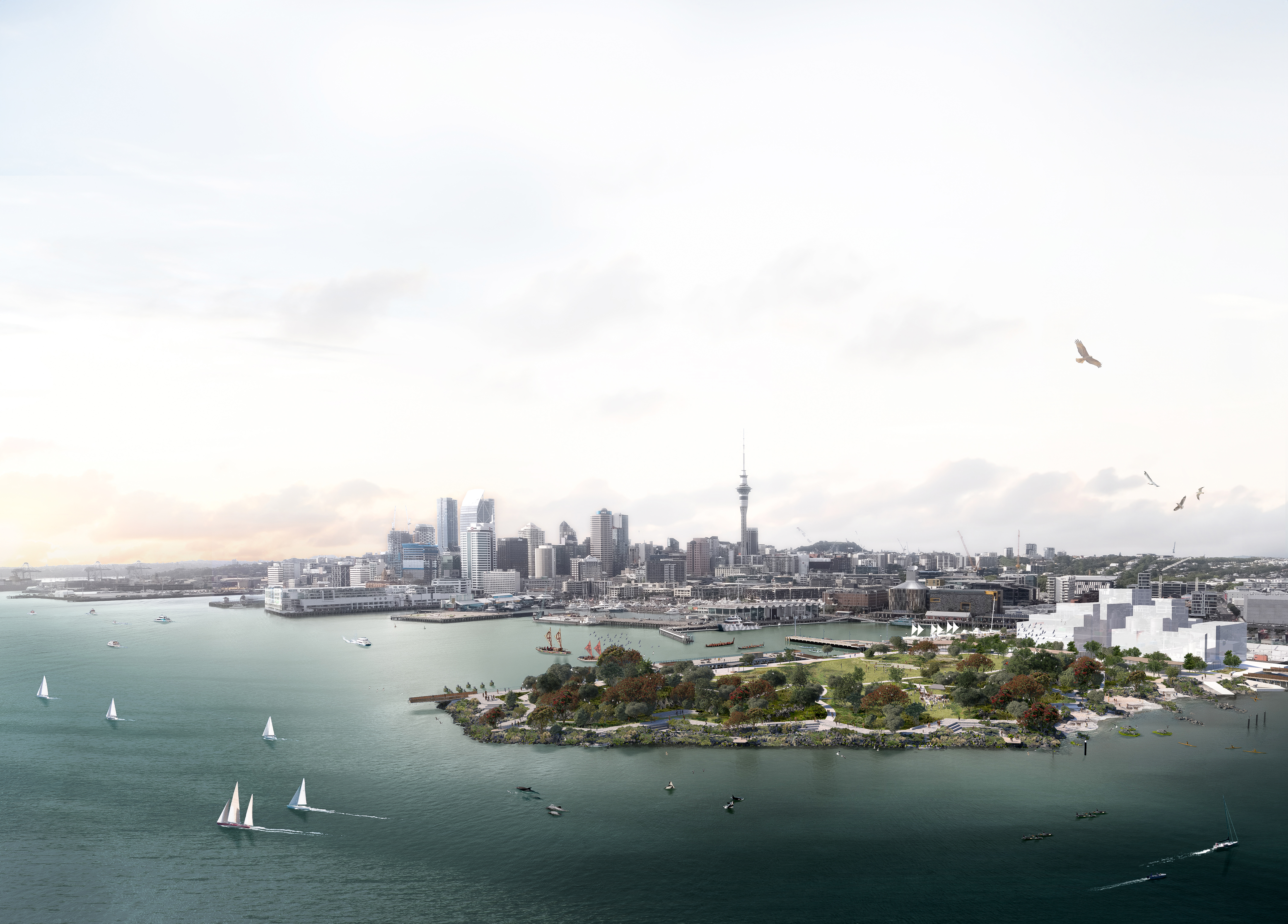 Te Ara Tukutuku vision shared for Wynyard Point  hero image